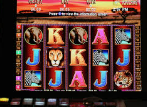 im电竞APP下载手机版