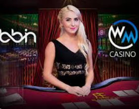 im电竞APP下载正式版